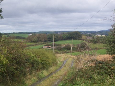 Gowerhass